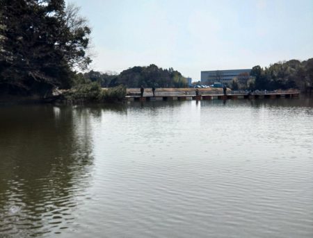 大安トラウトレイク釣果